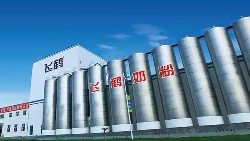 京東“越來越重” 一家上海網絡服務公司的深度觀察